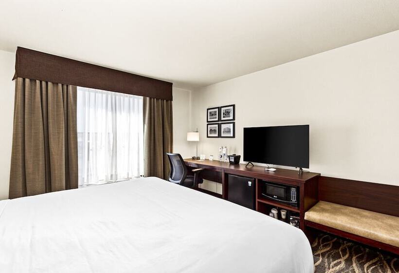 Cobblestone Hotel & Suites   International Falls