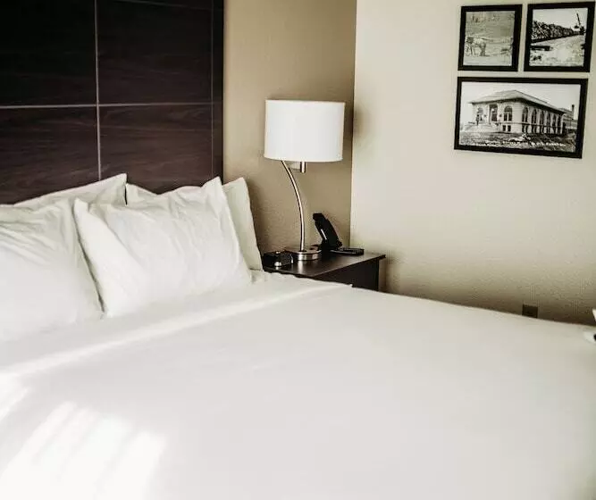 Cobblestone Hotel & Suites   International Falls