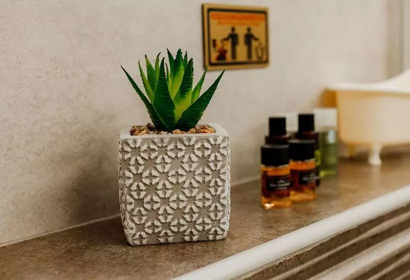 تختخواب و صبحانه Dim House