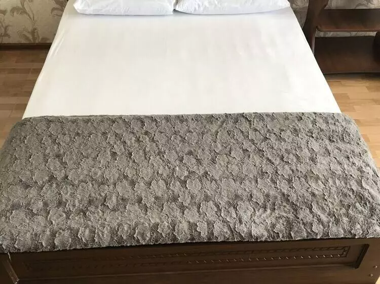 Aamiaismajoitus (B&B) Meridian