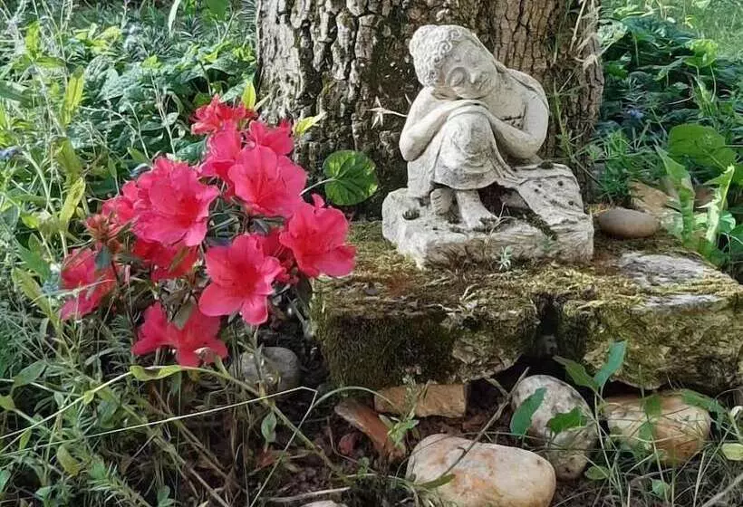 Majatalo Le Clos De La Salamandre