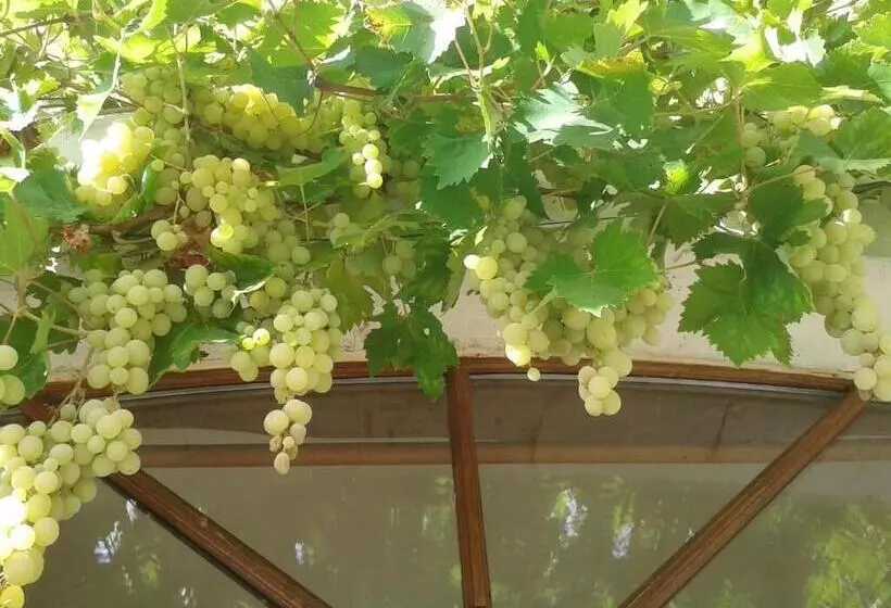 Majatalo Le Clos De La Salamandre