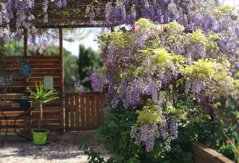 ペンション Maison D Hôtes Cœur D Hérault