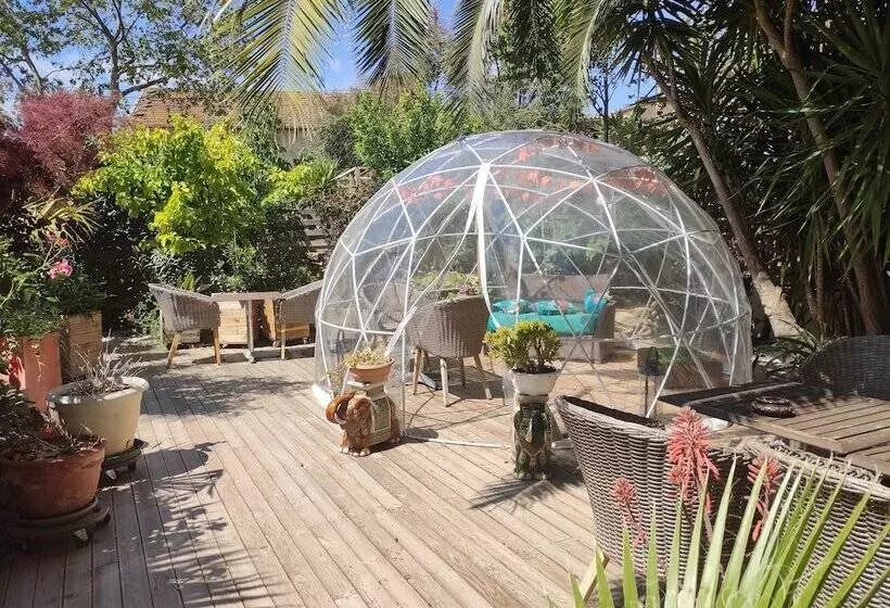 ペンション Maison D Hôtes Cœur D Hérault