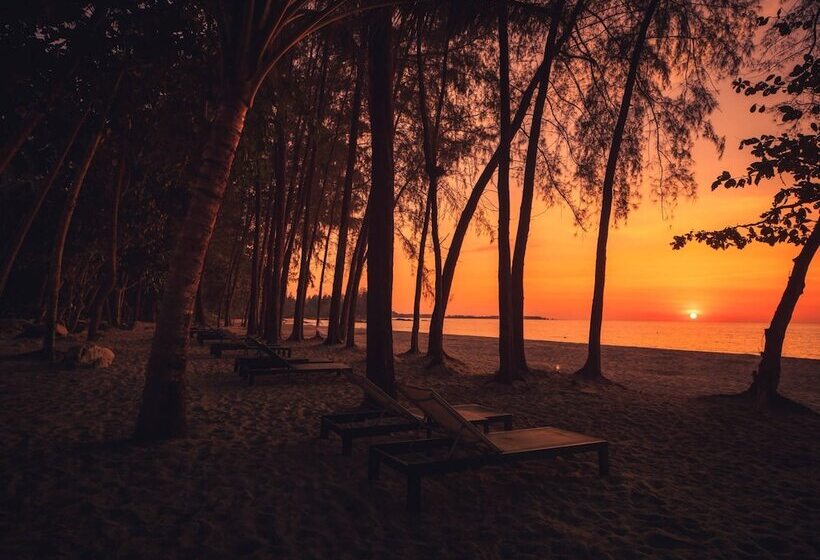 酒店 Avani+ Khao Lak Resort