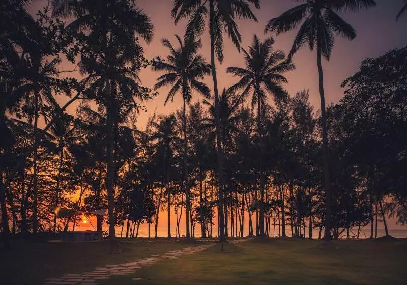 ホテル Avani+ Khao Lak Resort