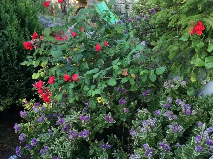 اقامتگاه 3bed House In Portland For Up To 6 People