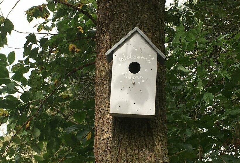Пансион Trewethen Cottage Barn 2,an Idyllic Country Escape