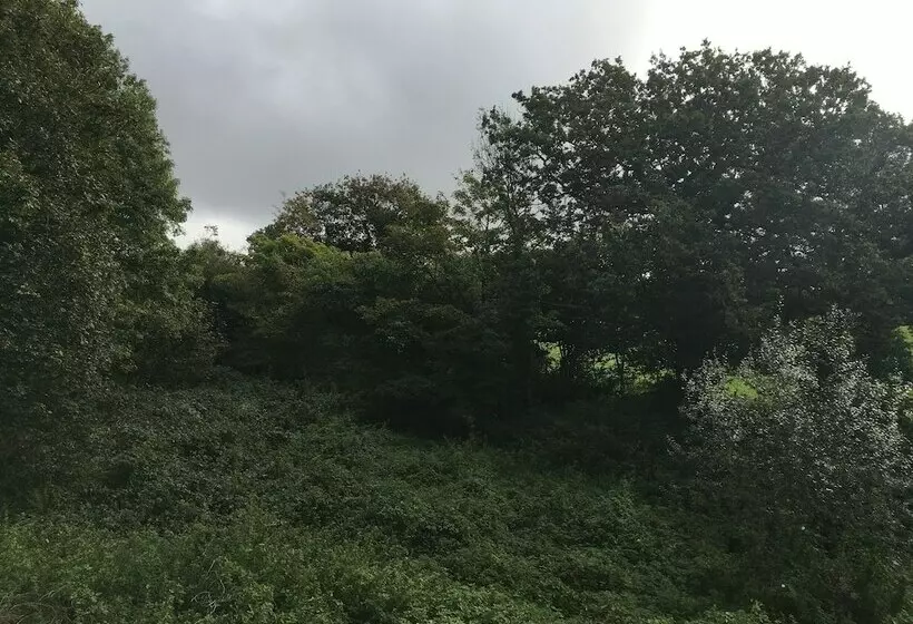 ペンション Trewethen Cottage Barn 2,an Idyllic Country Escape