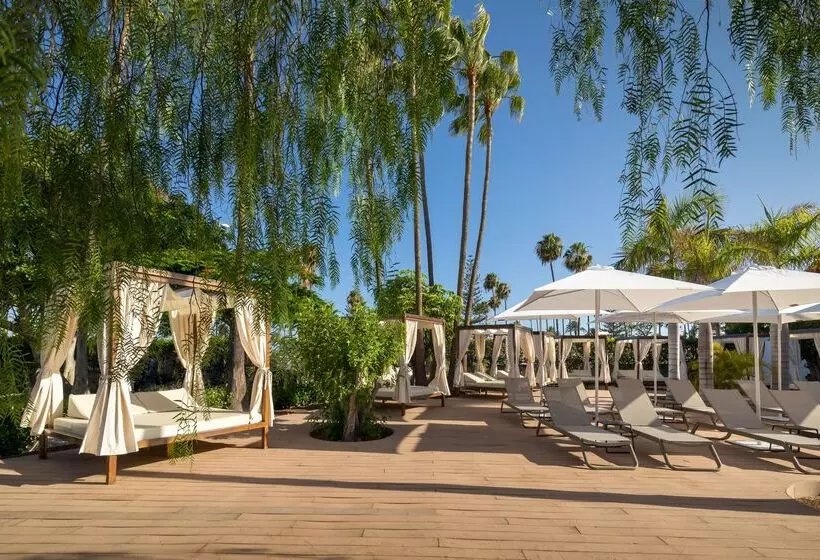 ホテル Barceló Margaritas Royal Level - Adults Only