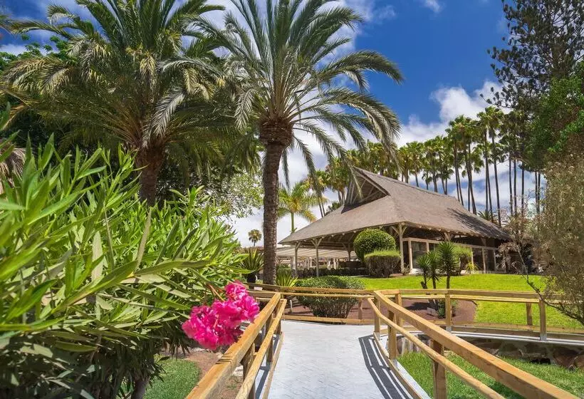 ホテル Barceló Margaritas Royal Level - Adults Only