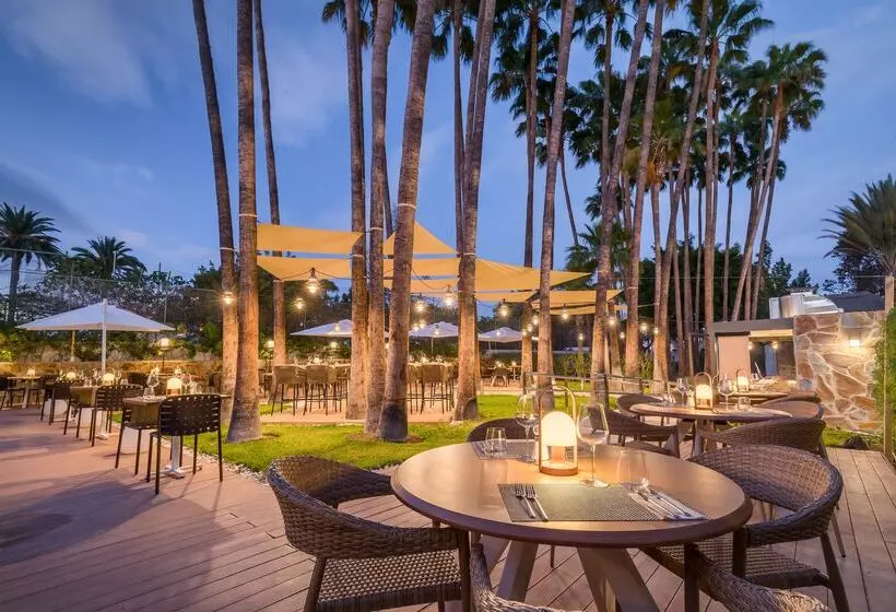 ホテル Barceló Margaritas Royal Level - Adults Only