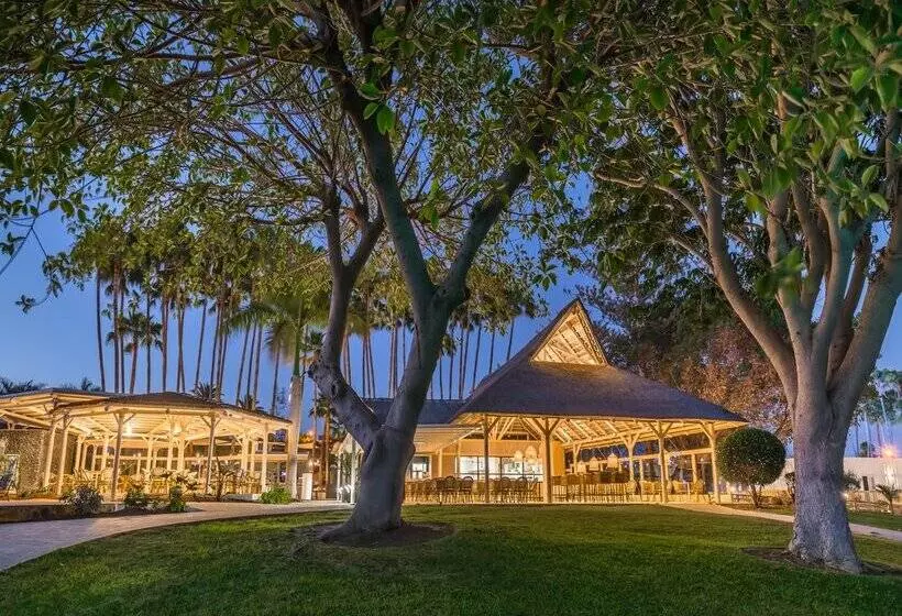 ホテル Barceló Margaritas Royal Level - Adults Only