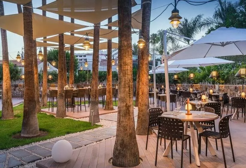 ホテル Barceló Margaritas Royal Level - Adults Only