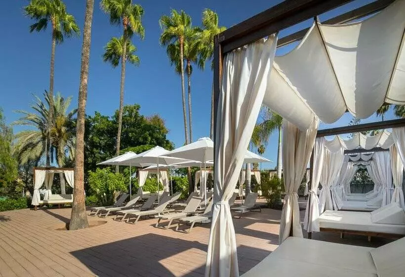 ホテル Barceló Margaritas Royal Level - Adults Only