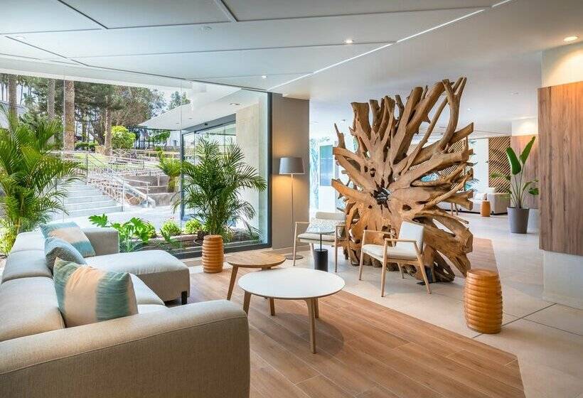 ホテル Barceló Margaritas Royal Level - Adults Only