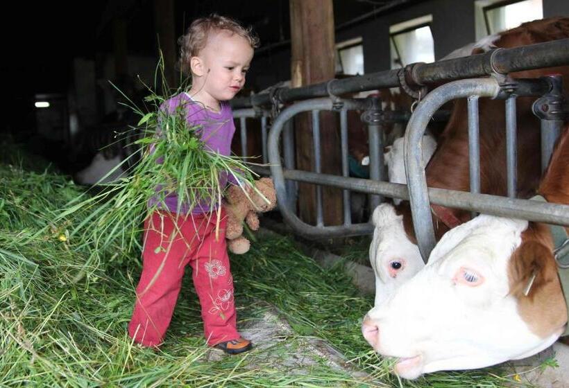 Bauernhof Ferienwohnungen Sennhof