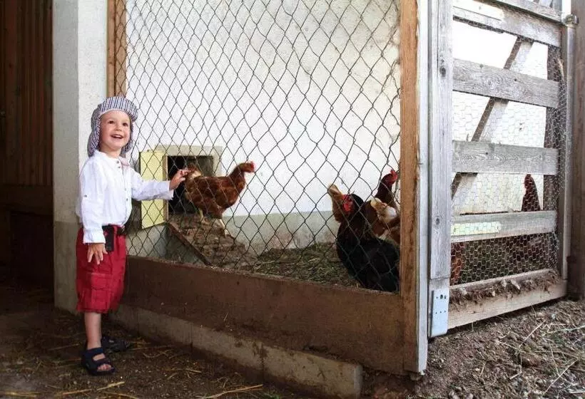 Bauernhof Ferienwohnungen Sennhof