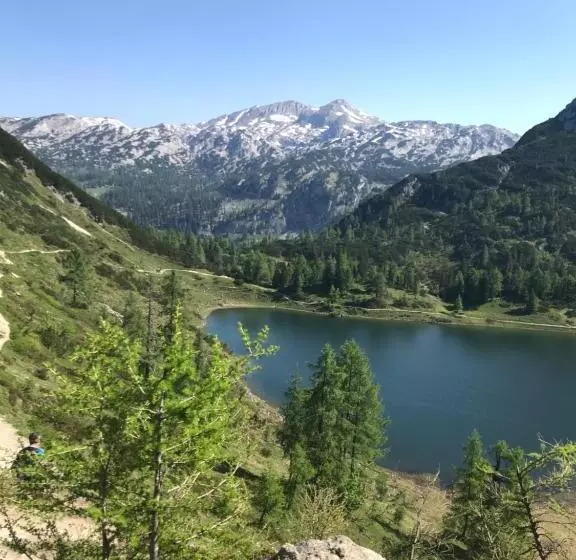 Bed and Breakfast Pension Pichler