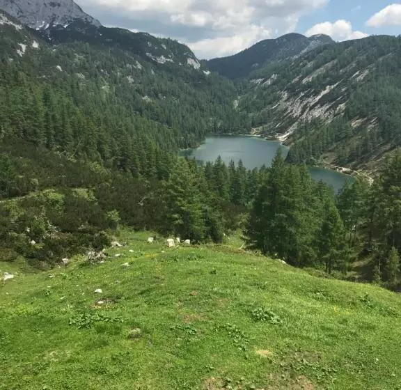 Bed and Breakfast Pension Pichler