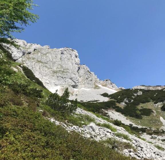 민박 Pension Pichler