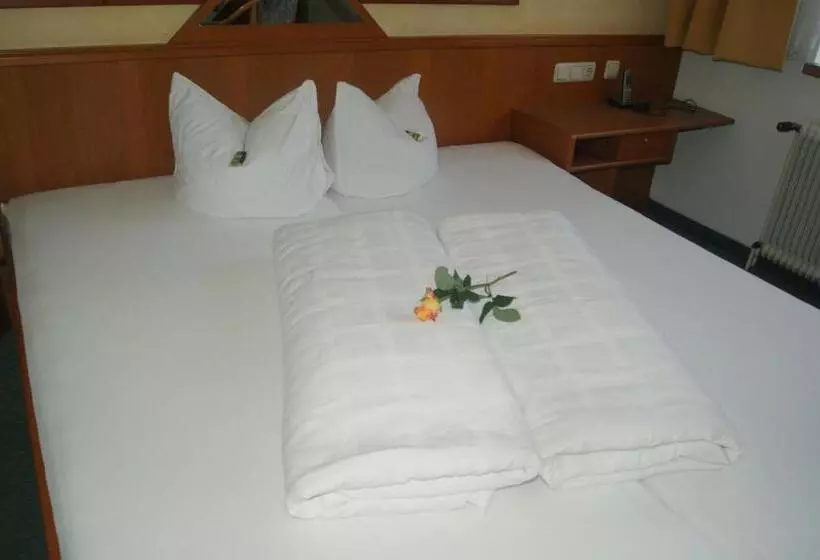 Bed and Breakfast Pension Pichler