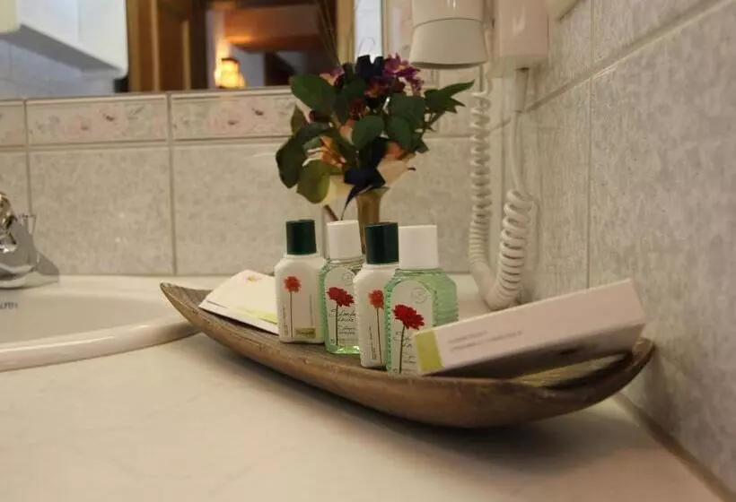 호텔 Alpenhof Pitztal