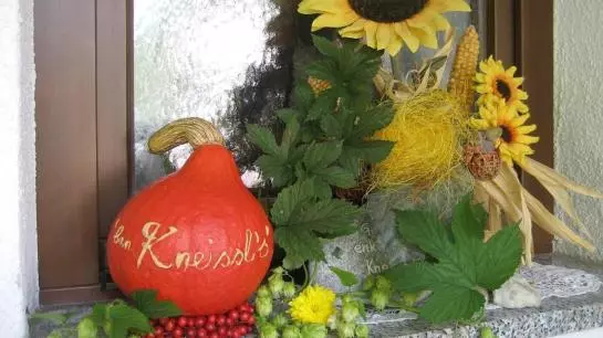 Bauernhof Ban Kneissl's