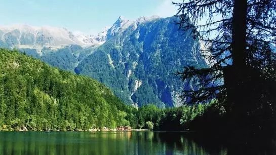 Bauernhof Ban Kneissl's