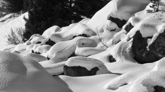 Bauernhof Ban Kneissl's