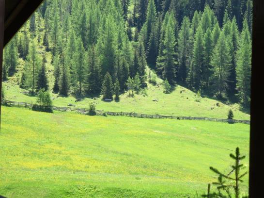 Bauernhof Ban Kneissl's