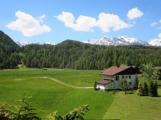 Bauernhof Ban Kneissl's