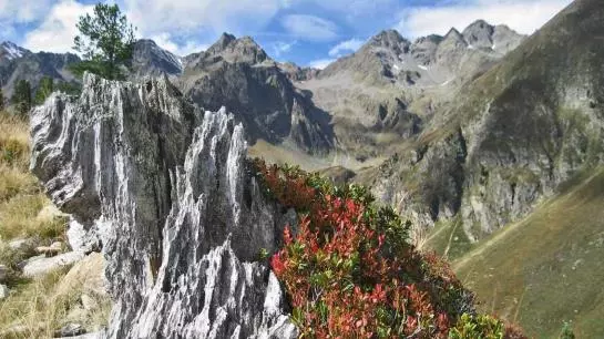 Bauernhof Ban Kneissl's