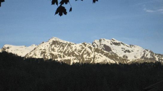 Bauernhof Ban Kneissl's