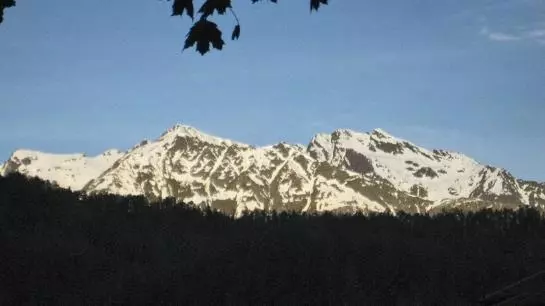 Bauernhof Ban Kneissl's