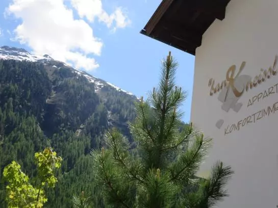 Bauernhof Ban Kneissl's