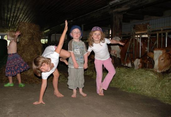 Bauernhof Ferienhof Gressenbauer