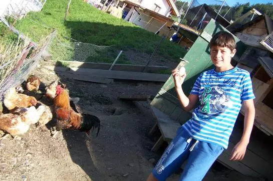 Bauernhof Oberhaushof