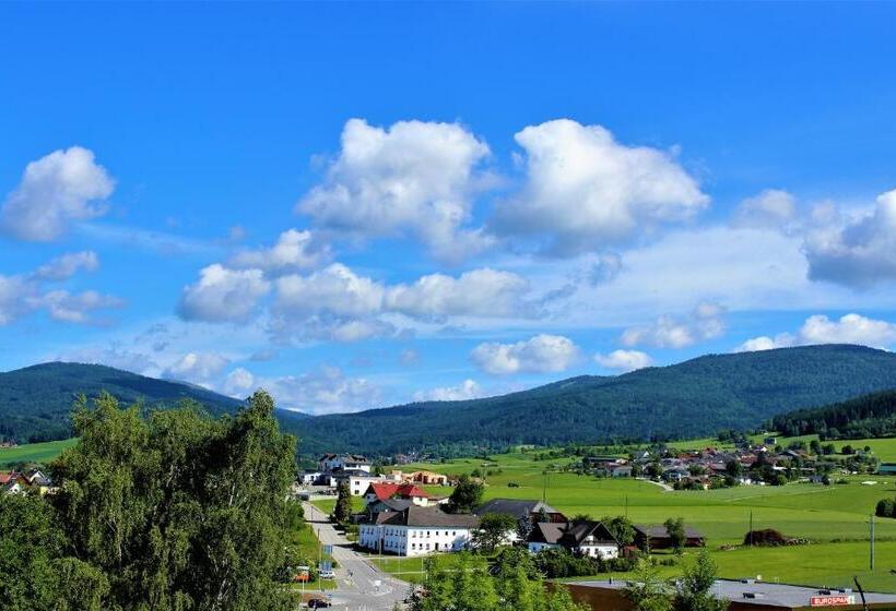 호텔 Böhmerwaldhof