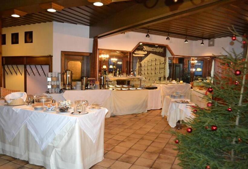 호텔 Böhmerwaldhof