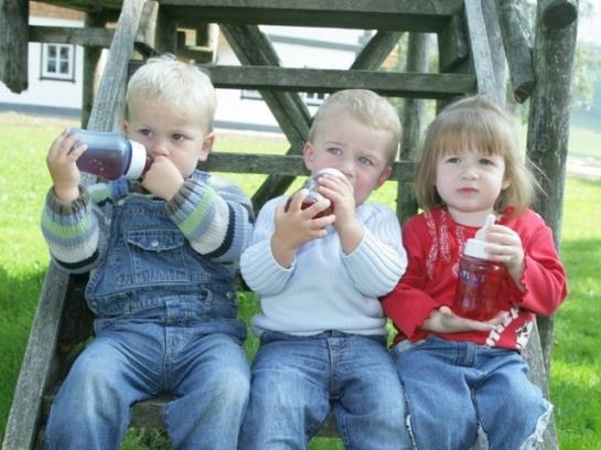 Hotel Ederbauer Am Irrsee