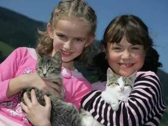 Отель Ederbauer Am Irrsee