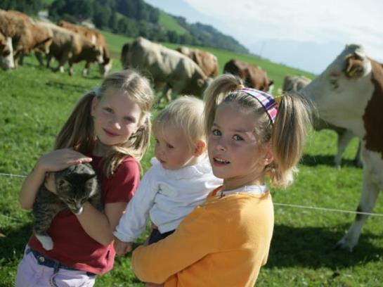 Hotel Ederbauer Am Irrsee