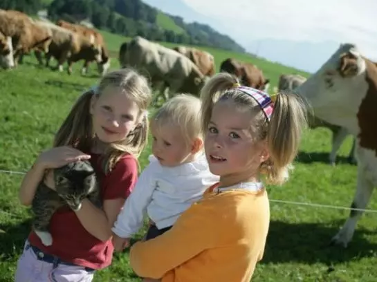 Отель Ederbauer Am Irrsee