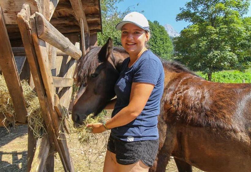 בית מלון כפרי Ferienhof Millinghof