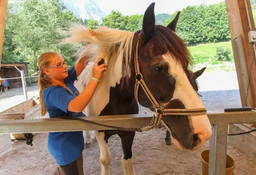 酒店 Ferienhof Millinghof