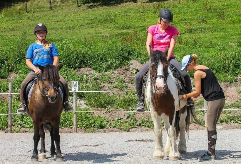 בית מלון כפרי Ferienhof Millinghof