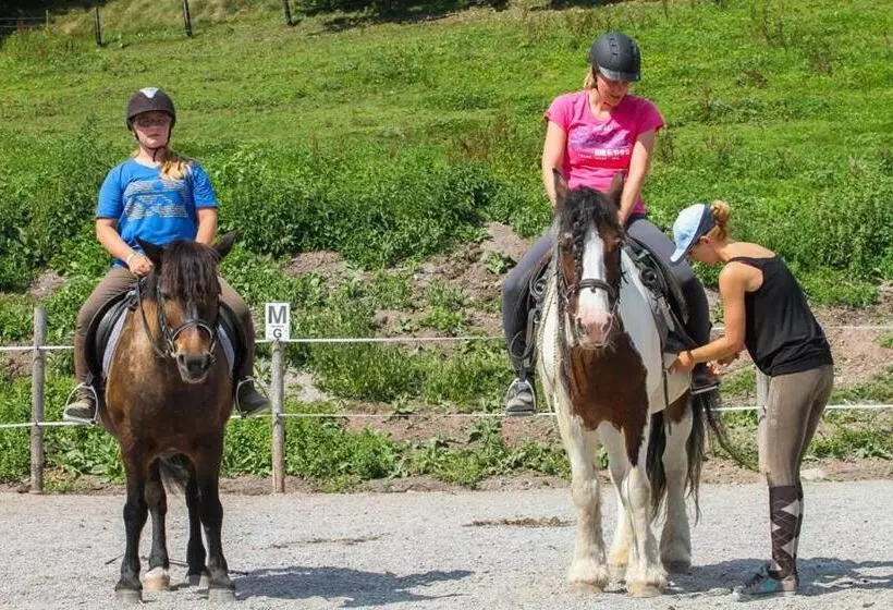 酒店 Ferienhof Millinghof