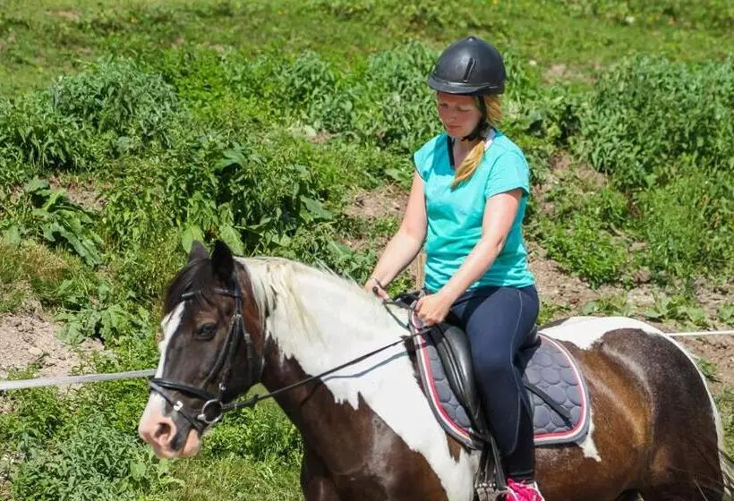 酒店 Ferienhof Millinghof