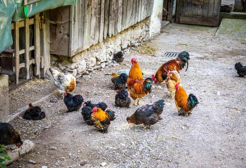 בית מלון כפרי Ferienhof Millinghof